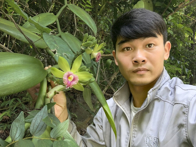 Lạ kỳ hoa cỏ quanh ta: 'Giấy khai sinh' viết bằng máu- Ảnh 6.