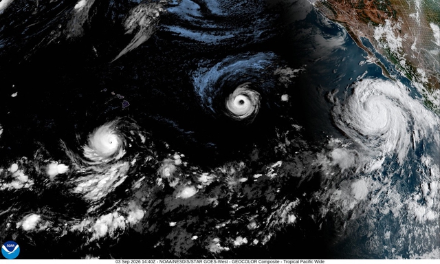Nhiệt độ Thái Bình Dương phá kỷ lục, El Nino có thể mạnh nhất lịch sử - Ảnh 1.