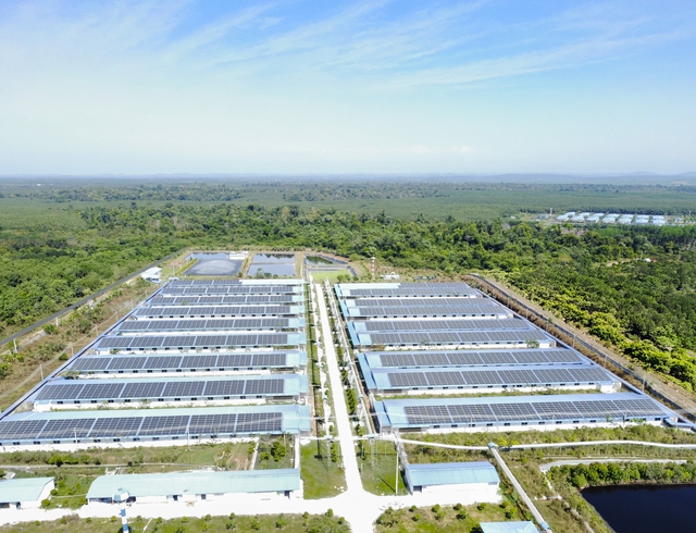C.P. Việt Nam thúc đẩy đổi mới sáng tạo hướng đến phát triển bền vững- Ảnh 2.