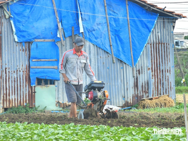Sống chung với thiên tai: Khôi phục sinh kế, chủ động trước mùa lũ- Ảnh 5.