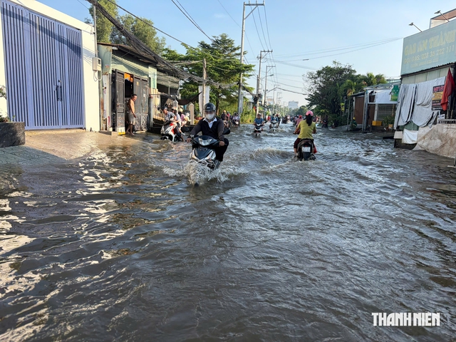 Triều cường dâng cao: Phụ huynh, học sinh TP.HCM chật vật đến trường - Ảnh 10.