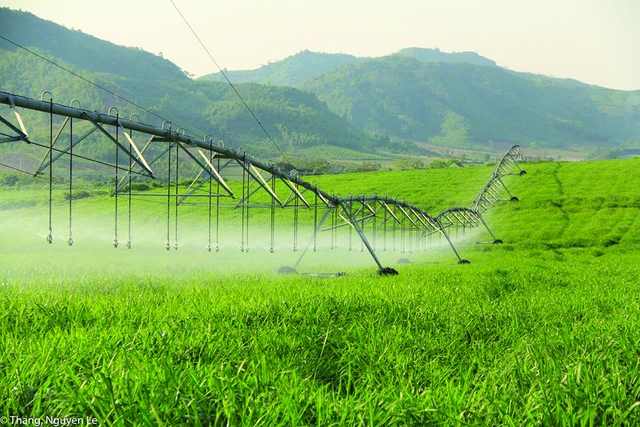 Anh hùng Lao động Thái Hương: Thương hiệu quốc gia là đòn bẩy chiến lược - Ảnh 3.