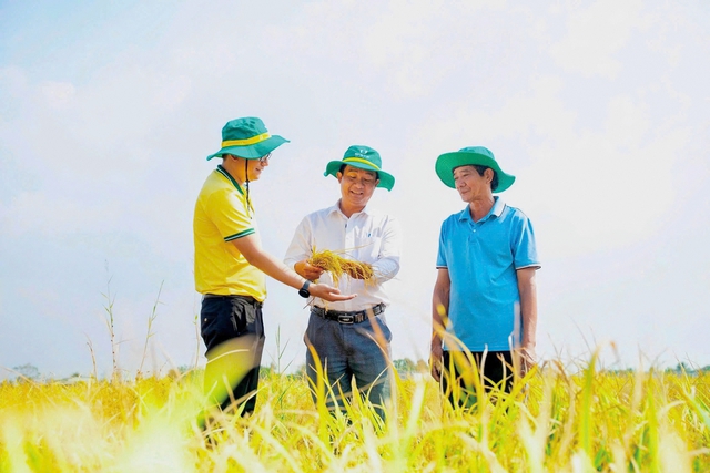 Phân bón Cà Mau viết tiếp câu chuyện phát triển - Ảnh 1.