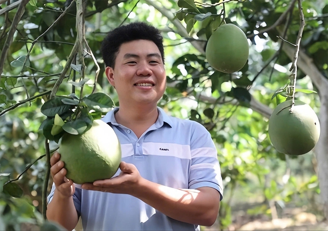 9X cho bưởi da xanh 'sinh đẻ có kế hoạch', thu khoảng 8 tỉ đồng/năm - Ảnh 1.