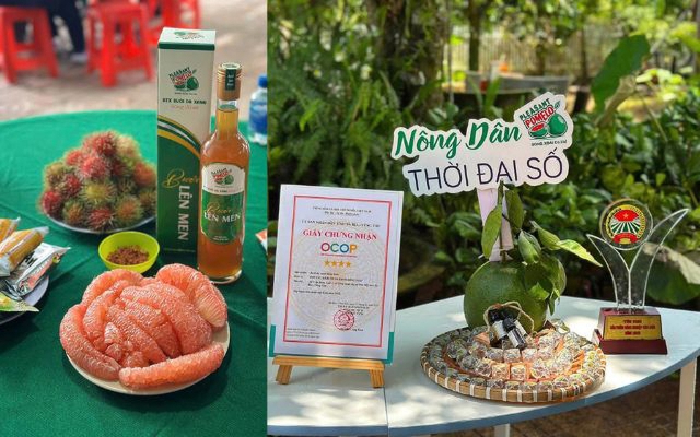 9X cho bưởi da xanh 'sinh đẻ có kế hoạch', thu khoảng 8 tỉ đồng/năm - Ảnh 2.