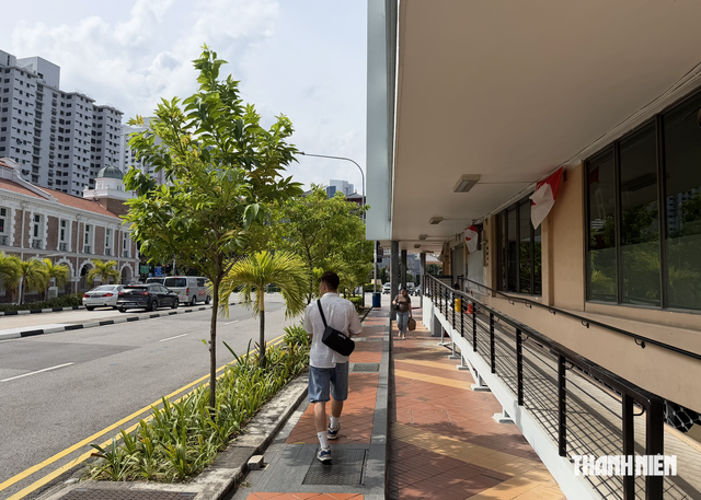 Kh&oacute;i m&ugrave; phủ Singapore, tour Việt ra sao? - Ảnh 1.
