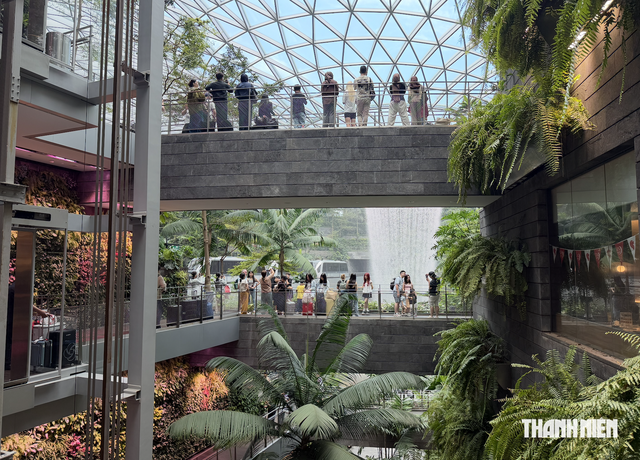 Kh&oacute;i m&ugrave; phủ Singapore, tour Việt ra sao? - Ảnh 2.