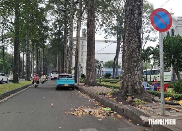 Có biển cấm, xe vẫn đậu chiếm đường- Ảnh 2.
