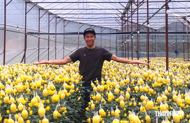 Vợ chồng ở Đà Lạt tặng 4.000 cành cúc trắng tiễn đưa 731 hài cốt liệt sĩ- Ảnh 3.