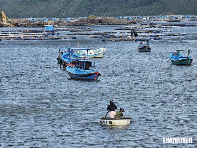 Sống chung với thiên tai: Gia cố 'thủ phủ' tôm hùm - Ảnh 4.