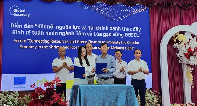 Cà Mau gỡ 'nút thắt' vốn xanh thúc đẩy kinh tế tuần hoàn tôm, lúa gạo- Ảnh 2.