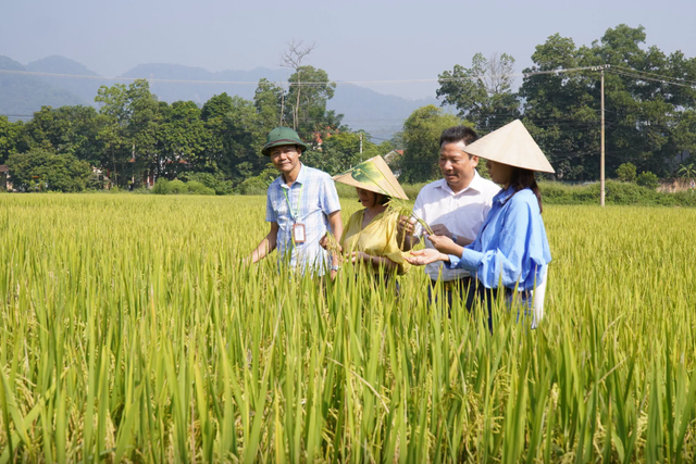 Gỡ &lsquo;n&uacute;t thắt&rsquo; để ph&aacute;t triển n&ocirc;ng nghiệp c&ocirc;ng nghệ cao - Ảnh 2.