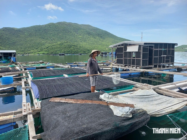 Từ ký ức Damrey đến mùa bão mới - Ảnh 1.