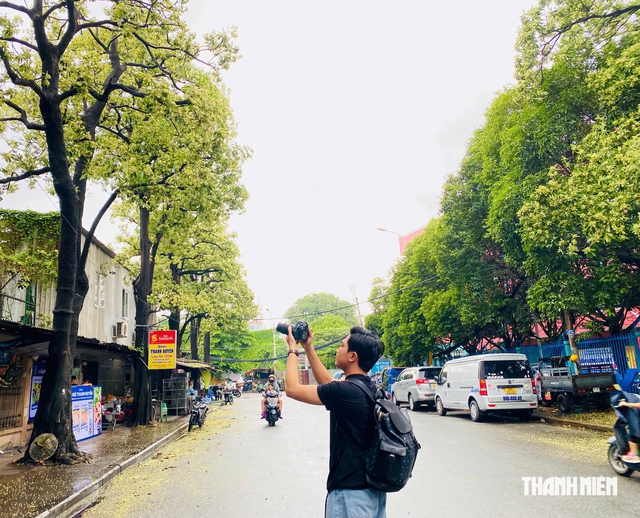 Mùi hoa sữa nồng nặc: Người tìm đến để ngửi, người nín thở tránh xa - Ảnh 4.