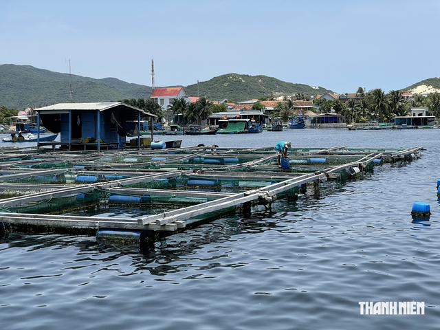 Từ ký ức Damrey đến mùa bão mới - Ảnh 2.