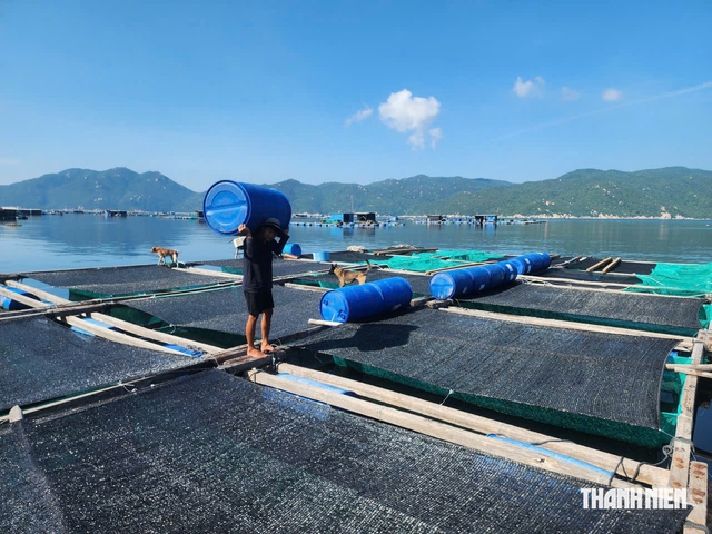 Từ ký ức Damrey đến mùa bão mới - Ảnh 4.