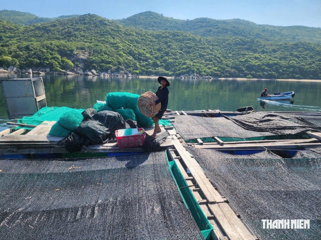 Từ ký ức Damrey đến mùa bão mới - Ảnh 6.