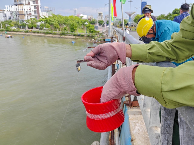 Lạ mắt cách người dân Quy Nhơn câu cá đối bằng chai nhựa - Ảnh 2.