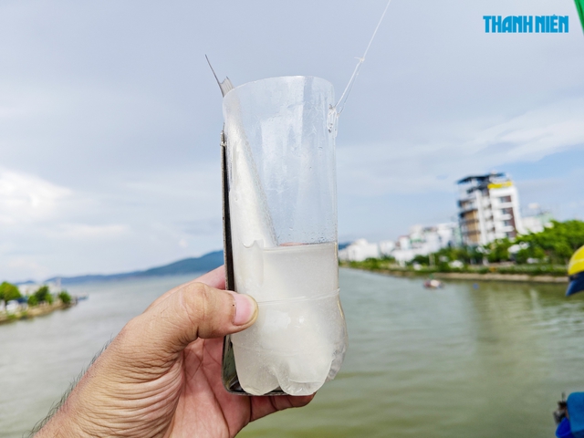 Lạ mắt cách người dân Quy Nhơn câu cá đối bằng chai nhựa - Ảnh 1.