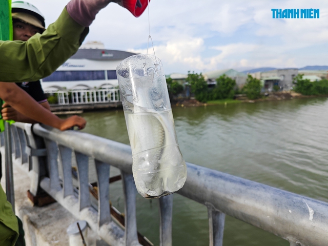 Lạ mắt cách người dân Quy Nhơn câu cá đối bằng chai nhựa - Ảnh 5.