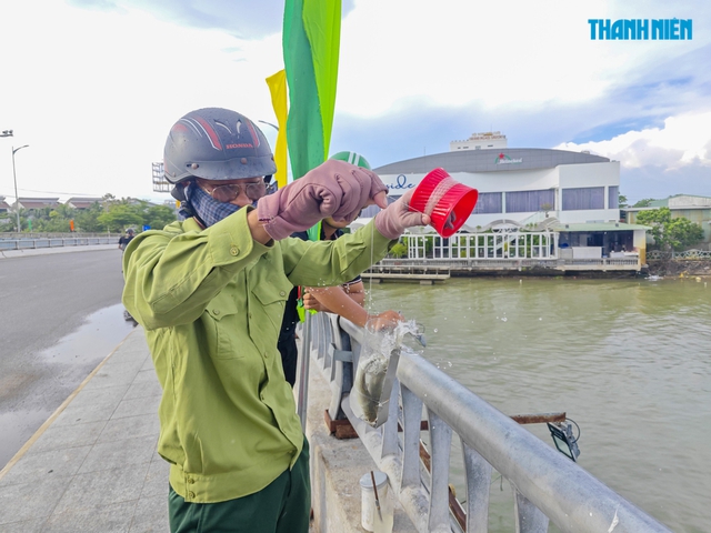 Lạ mắt cách người dân Quy Nhơn câu cá đối bằng chai nhựa - Ảnh 4.