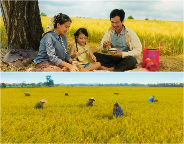 Phương Mỹ Chi bắt tay DTAP ra mắt MV tôn vinh hạt gạo Việt - Ảnh 2.