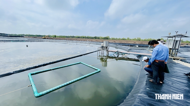 &Aacute;p lực 327.200 tấn t&ocirc;m trước th&aacute;ch thức El Nino, dịch bệnh- Ảnh 2.