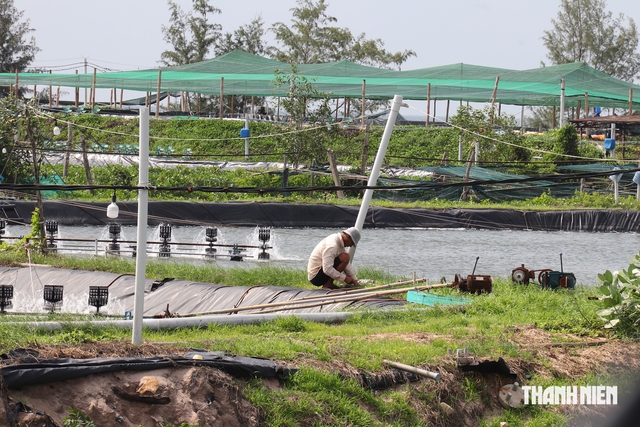 Khu công nghiệp Sơn Mỹ 1 tăng tốc giải phóng mặt bằng- Ảnh 2.