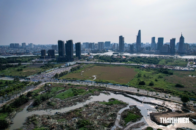 Chậm báo cáo bán nhà cho người nước ngoài, doanh nghiệp bị TP.HCM phạt 300 triệu - Ảnh 1.