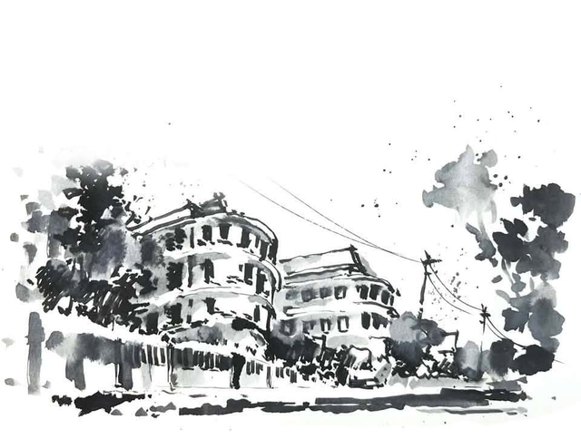 Bệnh viện Saint-Paul, nơi thi hài ông Diệm được đưa đến- Ảnh 3.