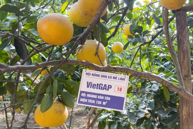 Hà Nội đẩy mạnh khoa học công nghệ, nâng cao chất lượng sống nông thôn - Ảnh 1.