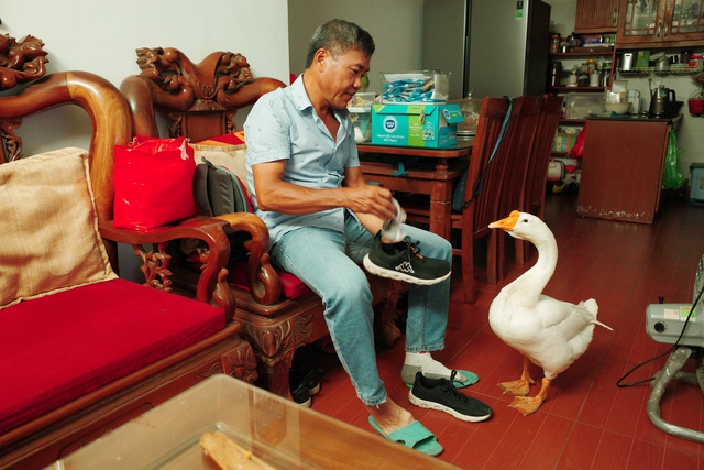 Chú ngỗng được bà dắt đi dạo ở Hà Nội, dân mạng hỏi nhau ‘gặp ở đâu?’ - Ảnh 5.