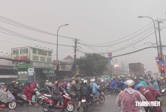 Cây xanh bật gốc trong mưa lớn ở Phú Mỹ Hưng, CSGT cùng người dân dọn dẹp - Ảnh 8.