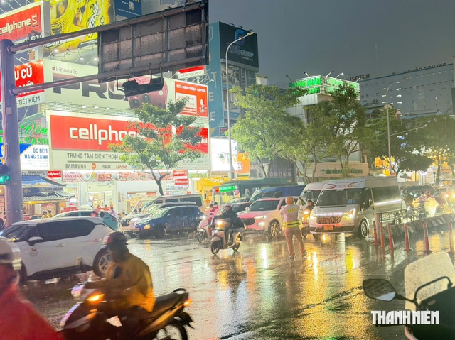Cây xanh bật gốc trong mưa lớn ở Phú Mỹ Hưng, CSGT cùng người dân dọn dẹp - Ảnh 6.