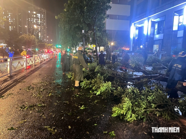 Cây xanh bật gốc trong mưa lớn ở Phú Mỹ Hưng, CSGT cùng người dân dọn dẹp - Ảnh 4.