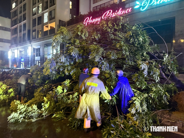 Cây xanh bật gốc trong mưa lớn ở Phú Mỹ Hưng, CSGT cùng người dân dọn dẹp - Ảnh 2.