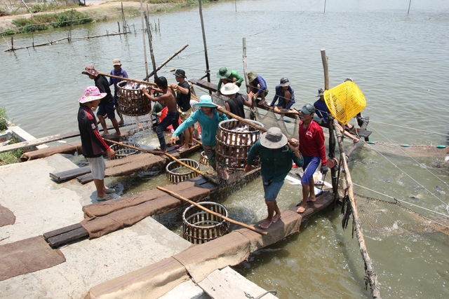 Đồng Tháp kiến tạo, đồng hành cùng doanh nghiệp phát triển - Ảnh 3.