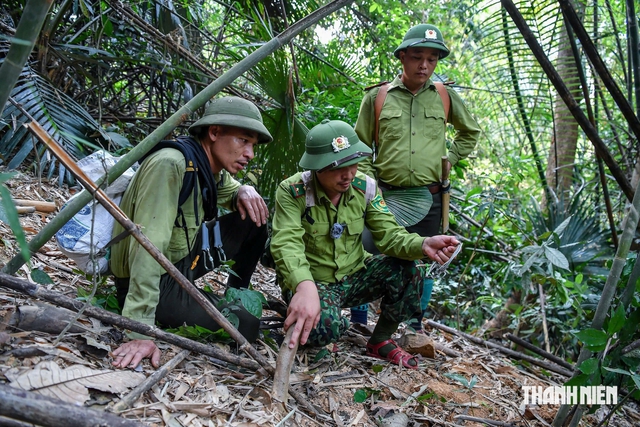 Rừng chở che người - Ảnh 4.
