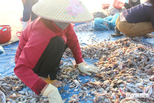 Nghề lạ ở Đà Nẵng: Nhặt hải sản dạt bán nuôi tôm hùm, sống qua ngày - Ảnh 5.