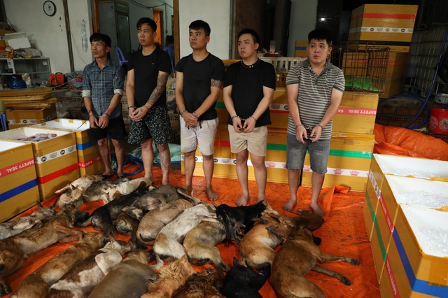 C&ocirc;ng an TP.HCM triệt ph&aacute; c&aacute;c đường d&acirc;y trộm ch&oacute; li&ecirc;n tỉnh- Ảnh 1.
