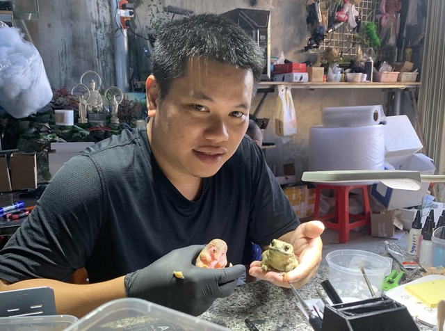 Nhiều người bỏ 30.000 đồng mua một con muỗi - Ảnh 6.