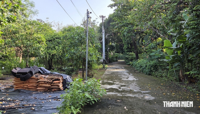 TP.HCM sẽ thu hồi hơn 230.000 m2 nhà đất công - Ảnh 2.