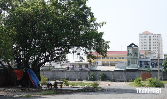 TP.HCM sẽ thu hồi hơn 230.000 m2 nhà đất công - Ảnh 3.