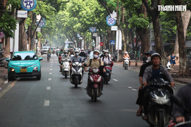 H&agrave; Nội định hướng c&acirc;y xanh đặc trưng cho tuyến phố nội đ&ocirc; thế n&agrave;o?- Ảnh 1.