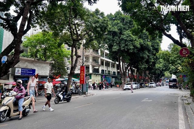 H&agrave; Nội định hướng c&acirc;y xanh đặc trưng cho tuyến phố nội đ&ocirc; thế n&agrave;o?- Ảnh 2.