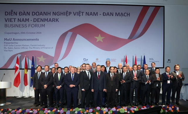 FPT thúc đẩy hợp tác công nghệ, đầu tư giữa Việt Nam và Đan Mạch - Ảnh 1.