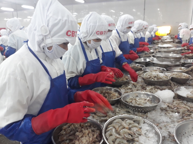 Khánh Hòa mở rộng mạng lưới an sinh xã hội- Ảnh 1.