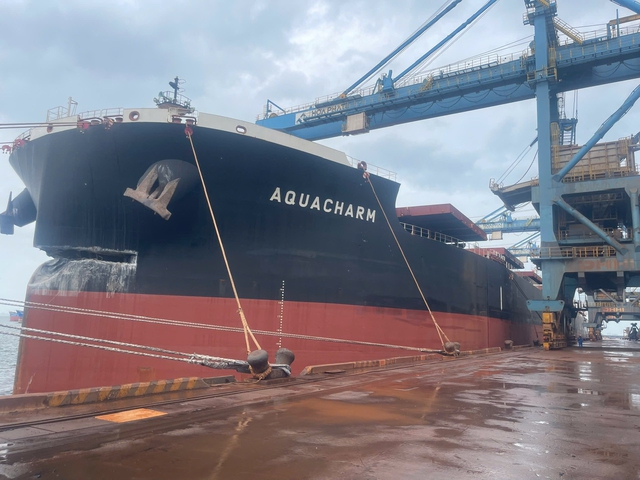 Bắt giữ tàu chở 170.586 tấn quặng sắt sau vụ va chạm với cảng ở Dung Quất- Ảnh 1.
