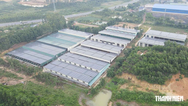 Khổ v&igrave; ruồi - Ảnh 1.