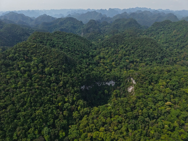 Phát hiện hố sụt lớn, sâu 120 m ở rừng Phong Nha - Kẻ Bàng- Ảnh 1.